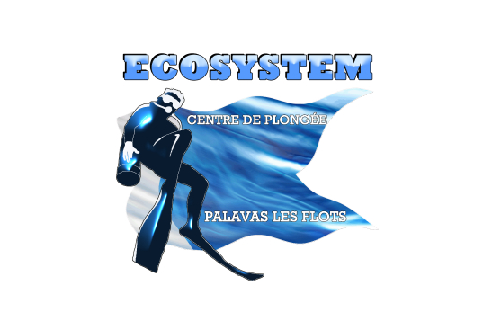 activites-ecosysteme-ports-de-palavas