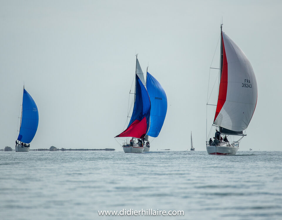 Trophée baie de Camargue sailing